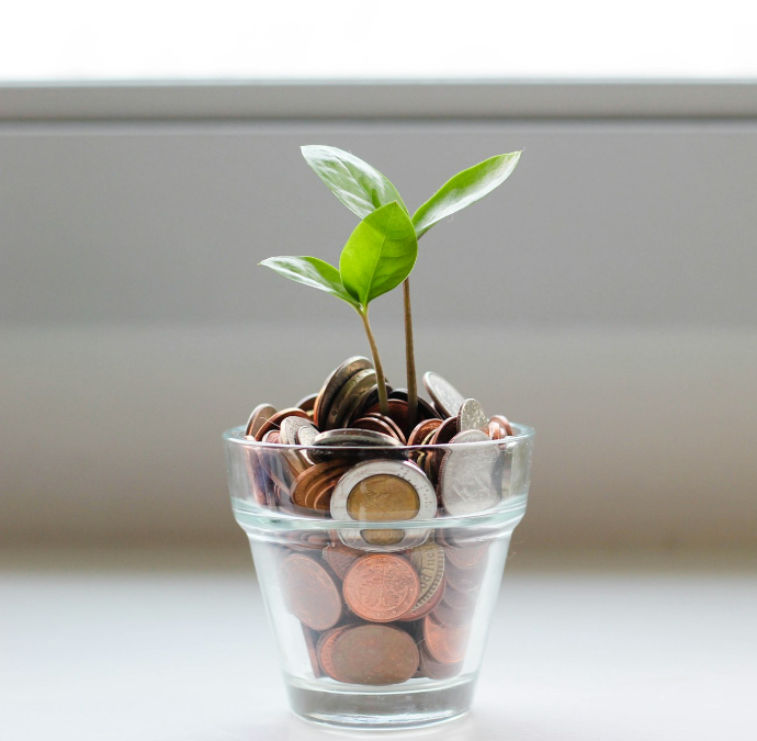 green plant in clear glass cup